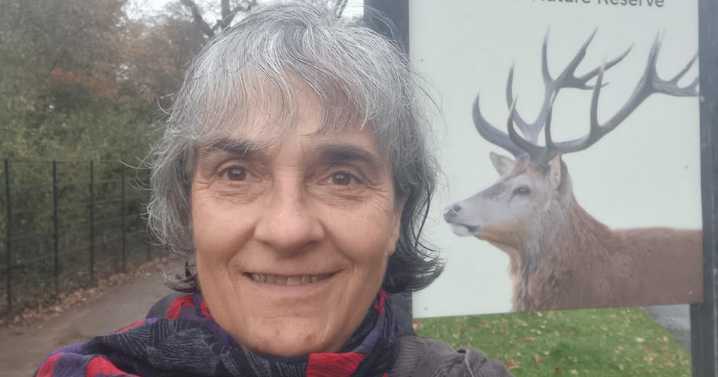 'Nature can't fight for itself': Kingston woman wants help to fund legal advice to 'save' beetles