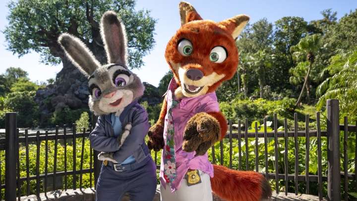 Disney’s Animal Kingdom previews new ‘Zootopia’ 4D show for guests