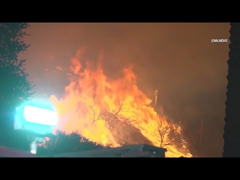 Palisades Fire recovery challenges