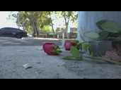 Trick-or-treaters in critical condition after being hit by car in Tracy