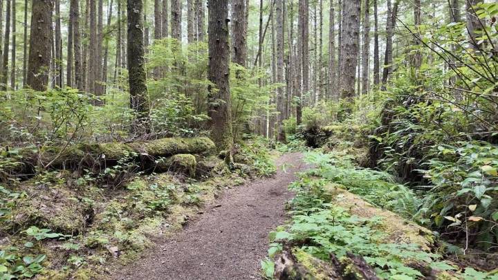 WA Forest Practices Board approves new rule restricting timber harvests