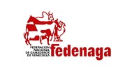 Fedenaga destaca recuperación del sector ganadero en Venezuela