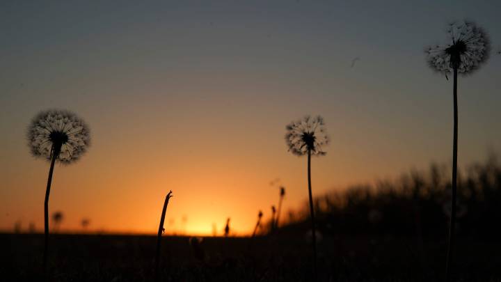 Watertown had a 5 p.m. sunset on Nov. 14. When will the next one happen?