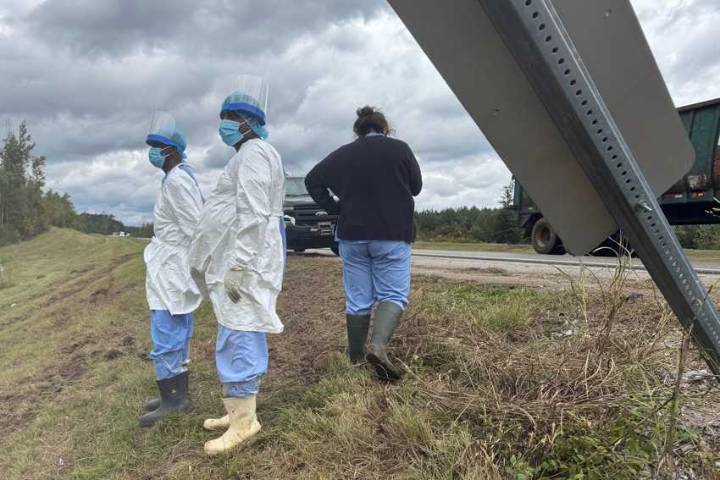 Mississippi mother shoots escaped research monkey