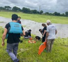 SAN MARTÍN: Rescataron  A Un Hombre De Una Laguna