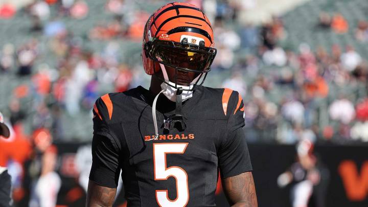 Bengals’ Tee Higgins carted off field after suffering concussion vs. Patriots