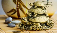 Feng Shui Turtle: Important Things to Know Before Bringing One Home—Boost Prosperity, Career Growth, and Peace