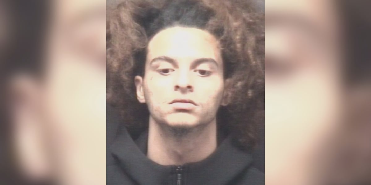 Greenville man accused of shooting into occupied car