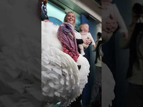 Thanksgiving Turkey Takes Over White House Press Briefing Room #shorts