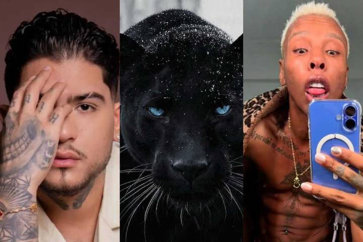 'El Pantera', sospechoso de asesinato de B