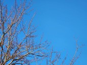 NJ weather: Weekend starts cool, rain showers on the way