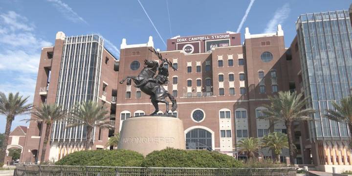 Florida State fans show school spirit at homecoming game