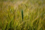 Medición privada. La actividad económica también habría crecido en octubre