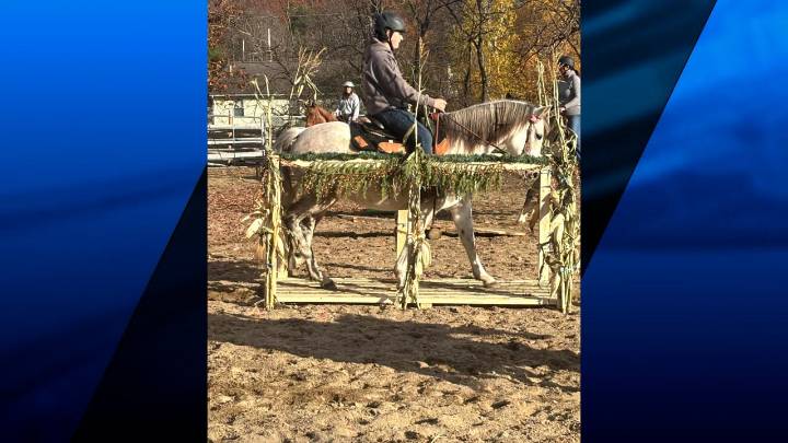 Countryside Farm hosts riding clinic to raise money after barn fire