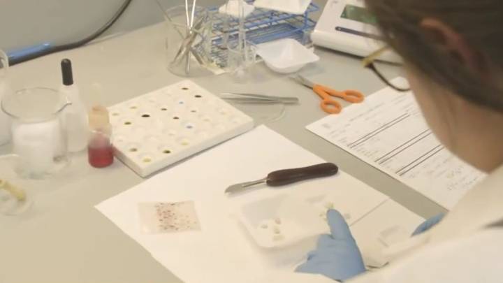 Record drug seizures causing backlog at Bexar County’s crime lab