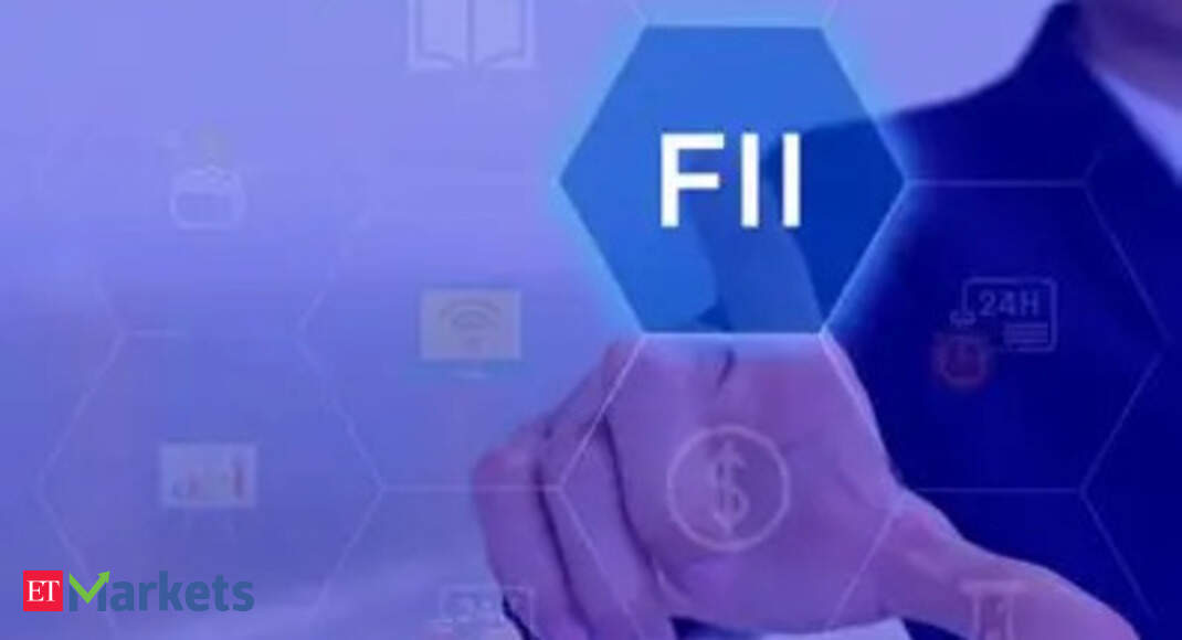 FIIs raise stakes in 9 strong-margin smallcaps; 2 turn multibaggers. Do you own any?