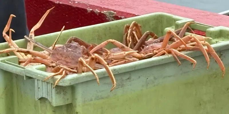 The FFAW Accuses ASP of Trying to Draw Union into Arbitration