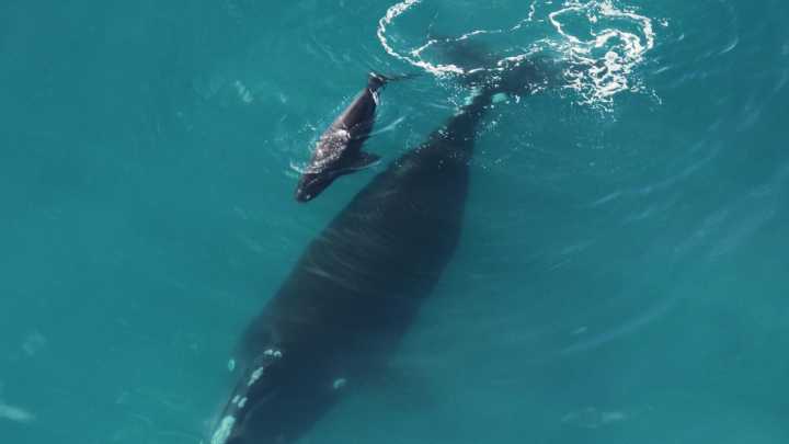 Do you know what to DO in Savannah this weekend? We have some picks