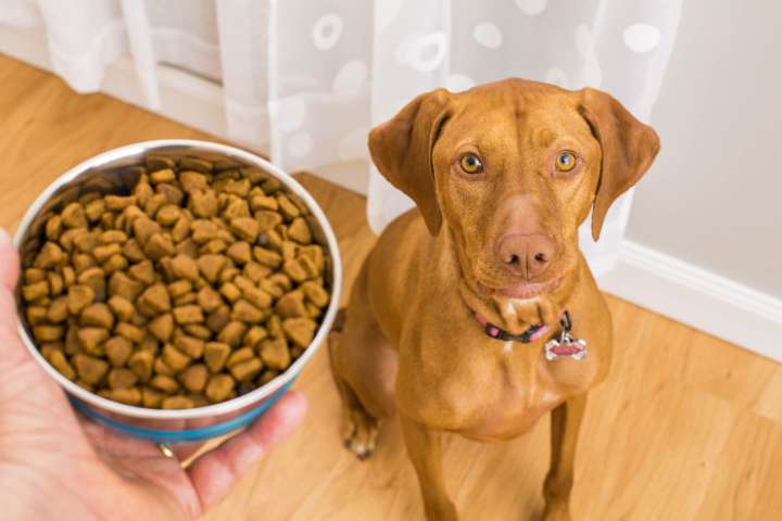 Lost our home raises over $500K