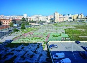 Bruno García admite que tampoco ha visto el Plan Funcional del nuevo hospital de Cádiz