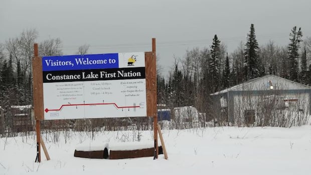 'It's not case closed': environmental group still searching for blastomycosis in northern Ontario First Nation