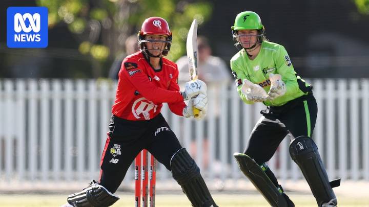 Georgia Wareham's all-round brilliance helps Melbourne Renegades sink Sydney Thunder in WBBL