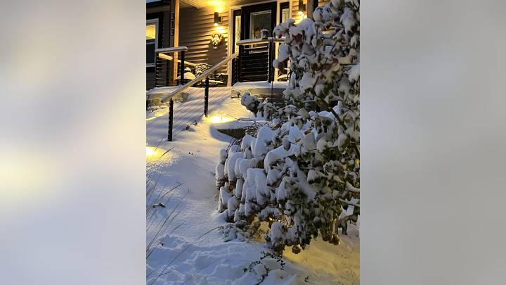 Chicagoland's first snowfall of the season: PHOTOS