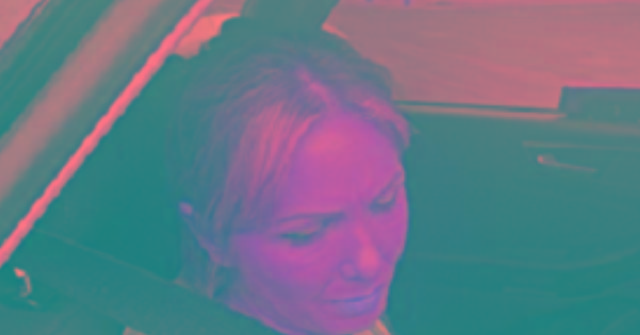 ICE Arrests Moldovan lllegal Convicted of Murder in Sanctuary California