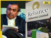 Bombay HC issues notice on plea seeking CBI probe into Mukesh Ambani's Reliance'