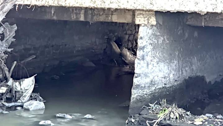 Atienden la PAUT posible riesgo ambiental en El Mante por fuga en drenaje