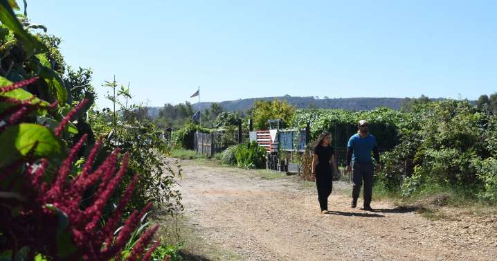 County taps Olivewood Gardens to manage Tijuana River Community Garden