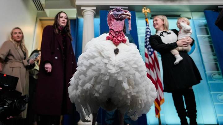 Trump grants reprieve to 'Waddle' and 'Gobble' in pre
