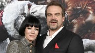 All The Details About Lily Allen And David Harbour's Messy Breakup