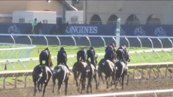 4-year-old horse dies during Breeders' Cup race at Del Mar