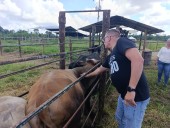 Inician campaña de vacunación contra la fiebre aftosa en el municipio Punceres