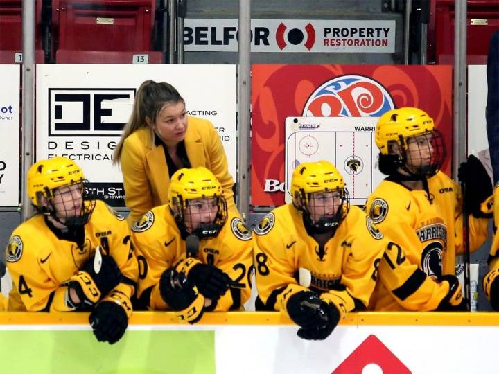 Hockey Fest returns to Owen Sound next week