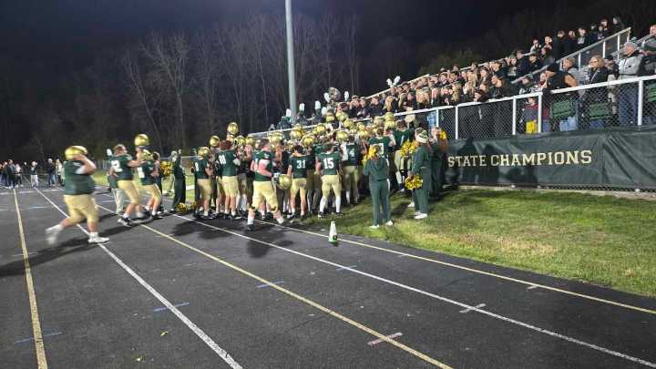 Lumen Christi heads back to semifinal with win over Ida