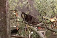 70-Year-Old Grandma Survives After Her Apartment Is Suddenly Crushed by Tree