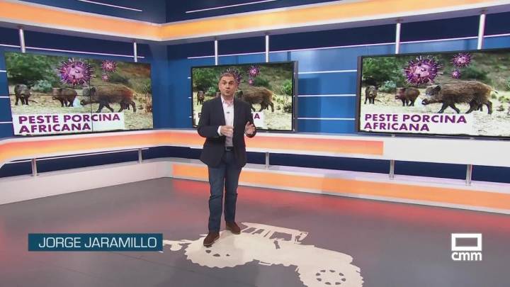 El campo - 28/11/2025