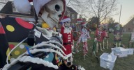 Meet Taylor Stiff, Joe Marrow and the Grisbones | Halloween skeletons get second life as Christmas fundraisers