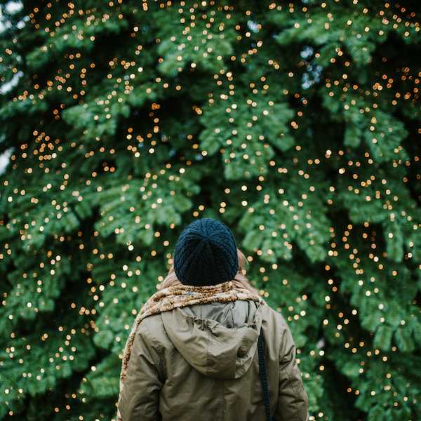 History Lesson – The Story of the Tree for Boston