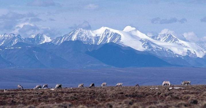 Trump opens Arctic National Wildlife Refuge to oil and gas drilling