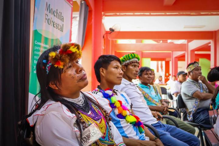 Loreto: Comunidades nativas de Yurimaguas aprenden a compensar multas forestales y conservar sus bosques