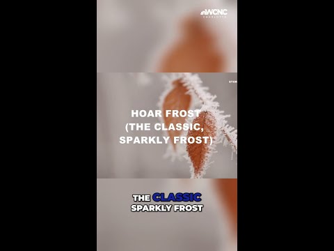 Different types of frost