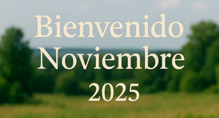 ¡Bienvenido noviembre! 50 frases bonitas para recibir el nuevo mes con energía e inspiración
