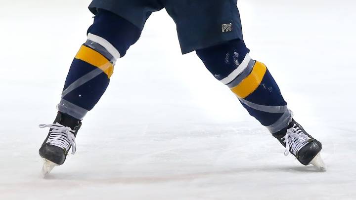 Baker, McFetridge and Fritz lead Northern Berks-Viola hockey past Berks Beast