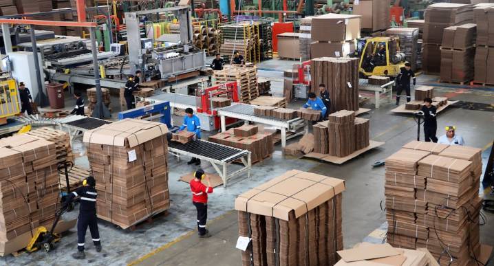 Grupo Comeca y los US$ 8 millones para Carvimsa y Epinsa en 2026: estos son sus planes