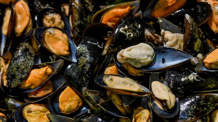 Las biotoxinas solo permiten extraer mejillón en unas 350 bateas gallegas