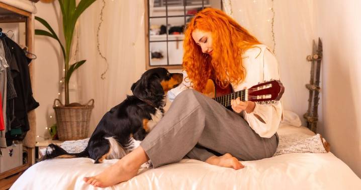 Dog shows disapproval over one band as owners left in hysterics