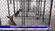 Rio Grande City Animal Control launches as...